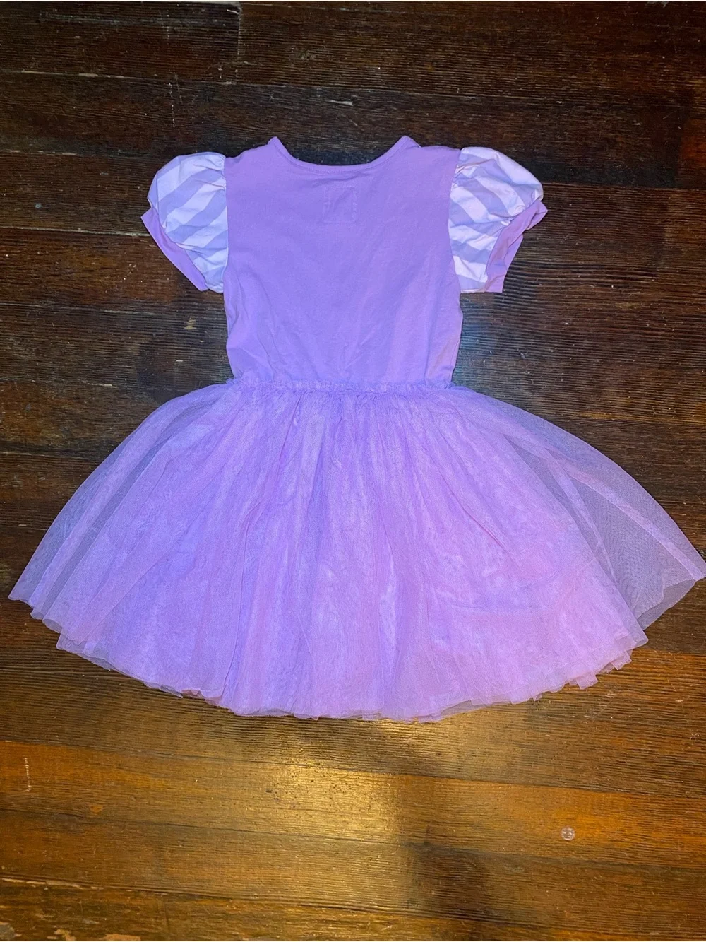 EUC Taylor Joelle Rapunzel Cotton Purple Tulle Princess Kids Costume Dress